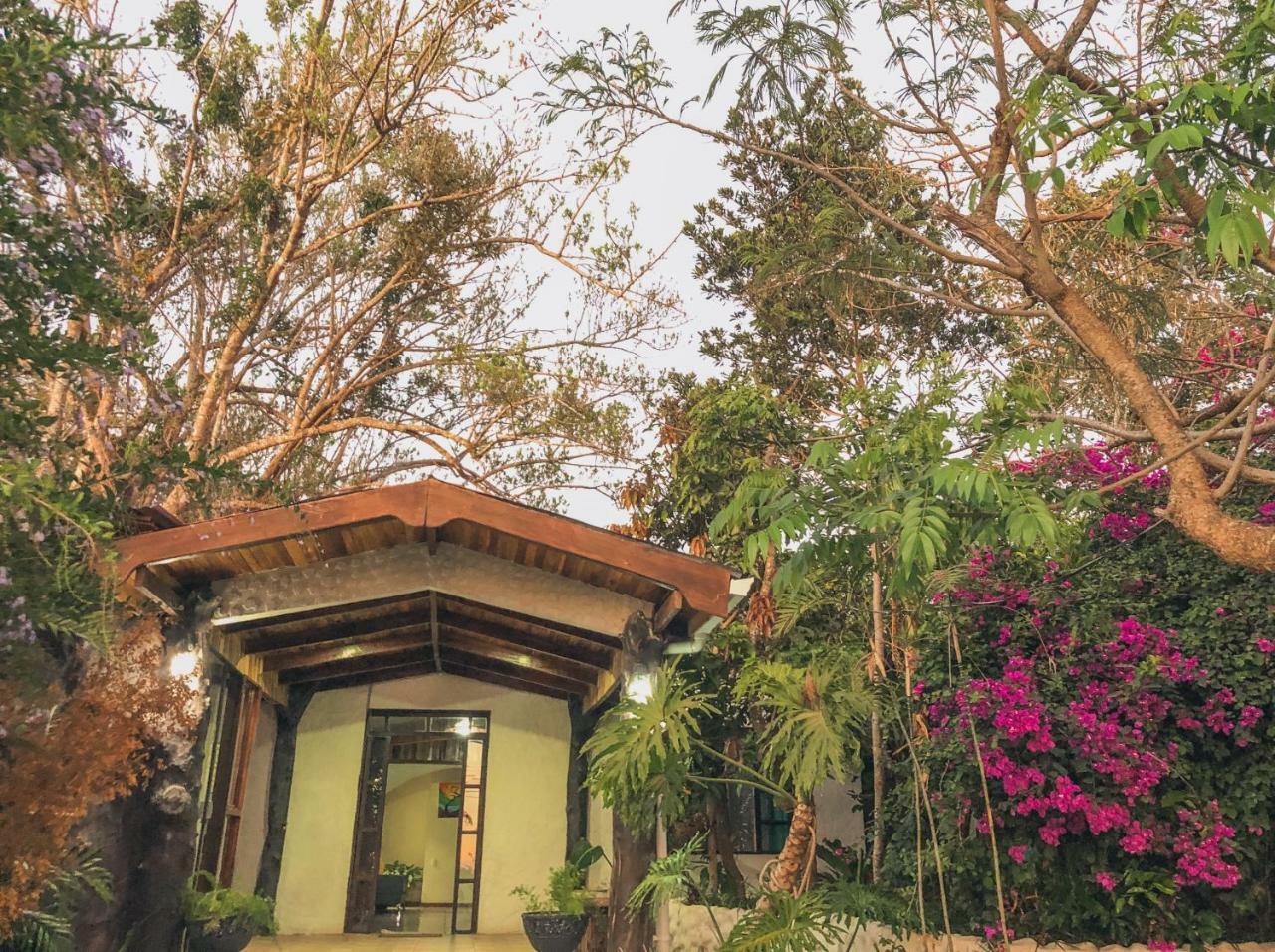 Monte Fresco Hostel Boutique Puntarenas Eksteriør billede
